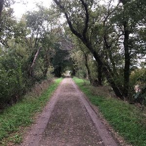 Meet your Posher, Audra